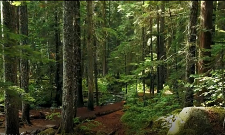 Вместе мы сможем больше Вместе мы сможем больше